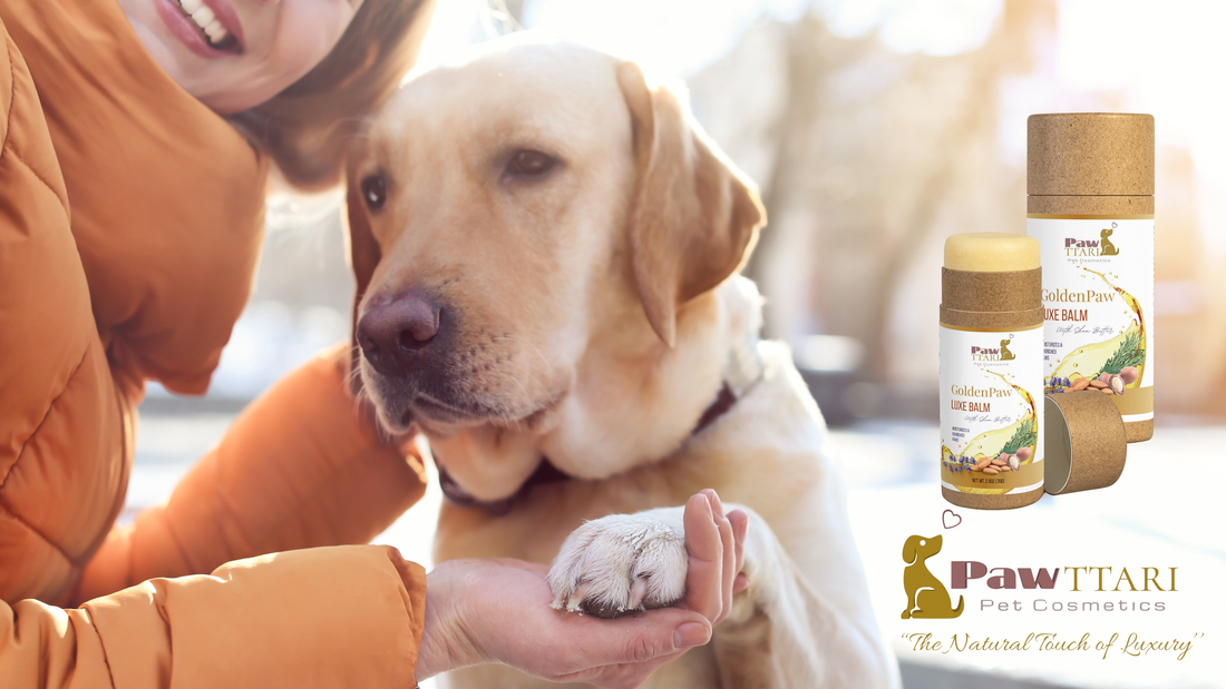 The Science and Benefits of PAWTTARI GoldenPaw Luxe Balm: Premium Care for Your Dog's Paws