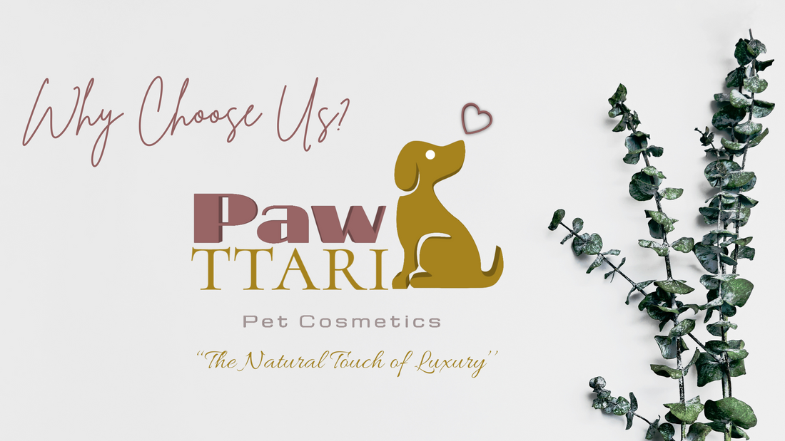 5 Reasons Why Your Pet Deserves Pawttari’s All-Natural Grooming Products!