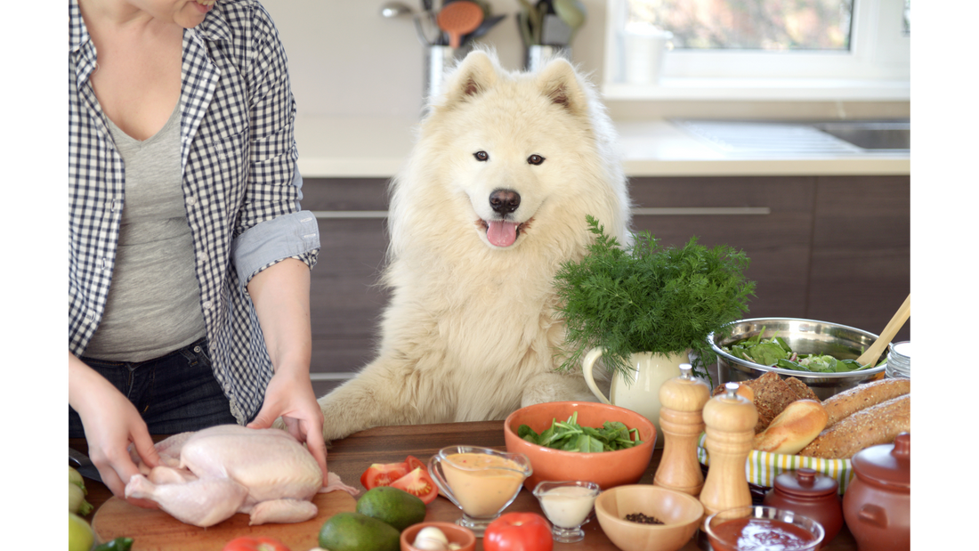 Wholesome Ingredients for Your Dog: Why Natural Recipes Are the Best Choice for Your Pet’s Health