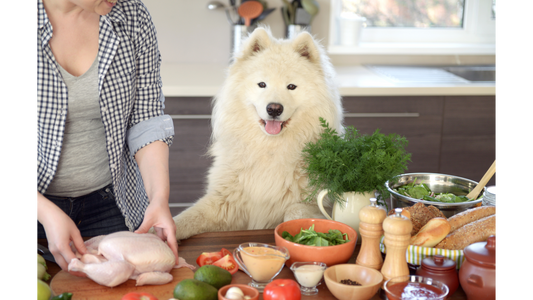 Wholesome Ingredients for Your Dog: Why Natural Recipes Are the Best Choice for Your Pet’s Health