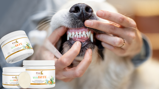 PAWTTARI FreshyMenthy BITE Dental Wipes: Simple, Effective Dental Care for Your Canine Companion