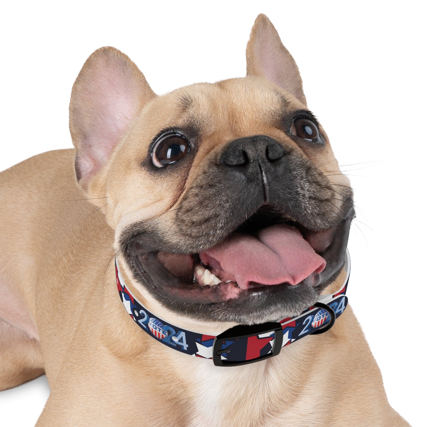 Elections 2024 Presidential Pet Collar