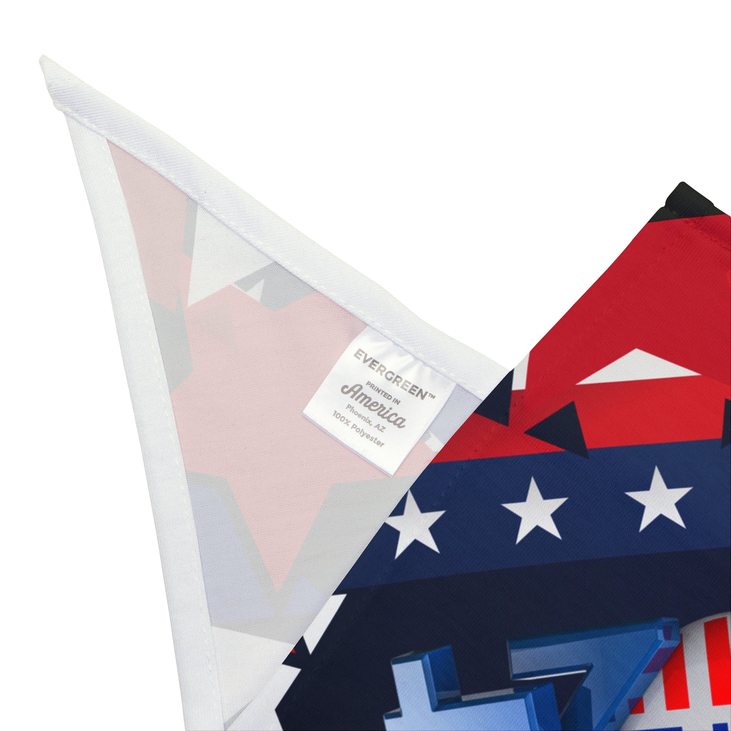 The Vote 2024 Pet Bandana