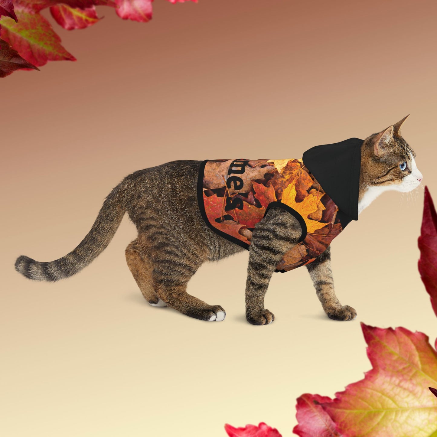 PAWTTARI Boutique Fall Custom Pet Hoodie