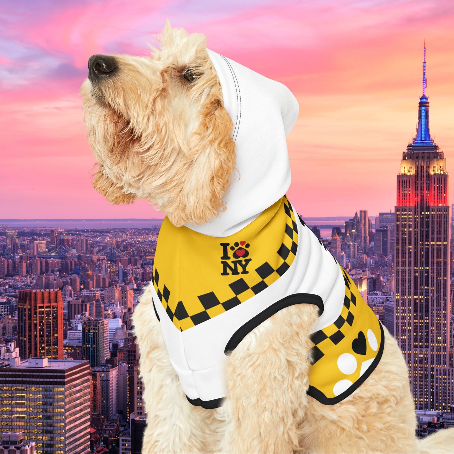 I LOVE NY <3 Pet Hoodie