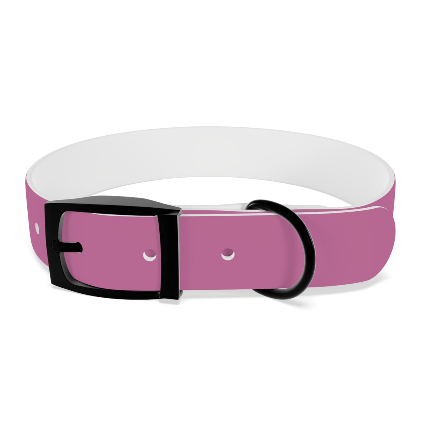 PAWTTARI Pet Collar