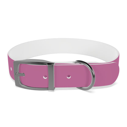 PAWTTARI Pet Collar