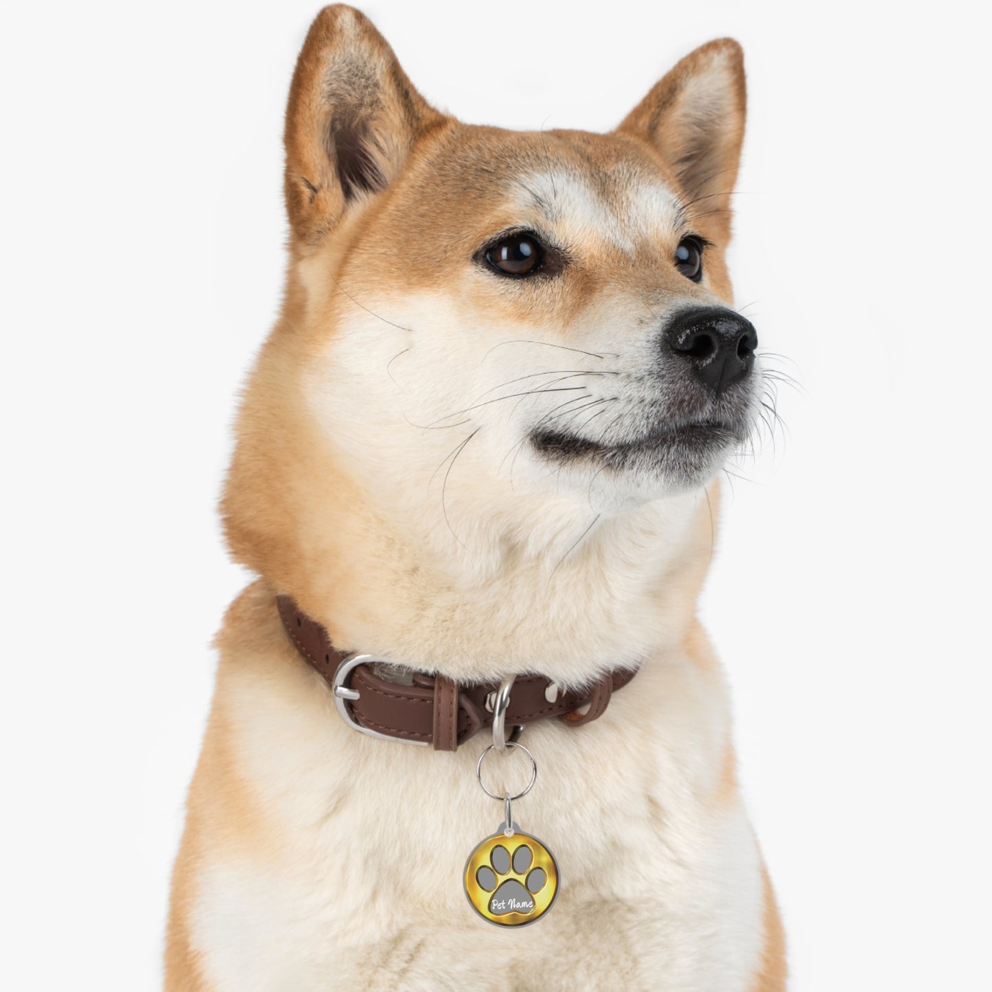 Golden Paw Luxe ID Tag