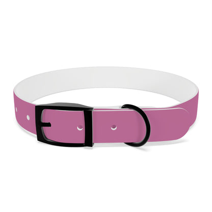 PAWTTARI Pet Collar