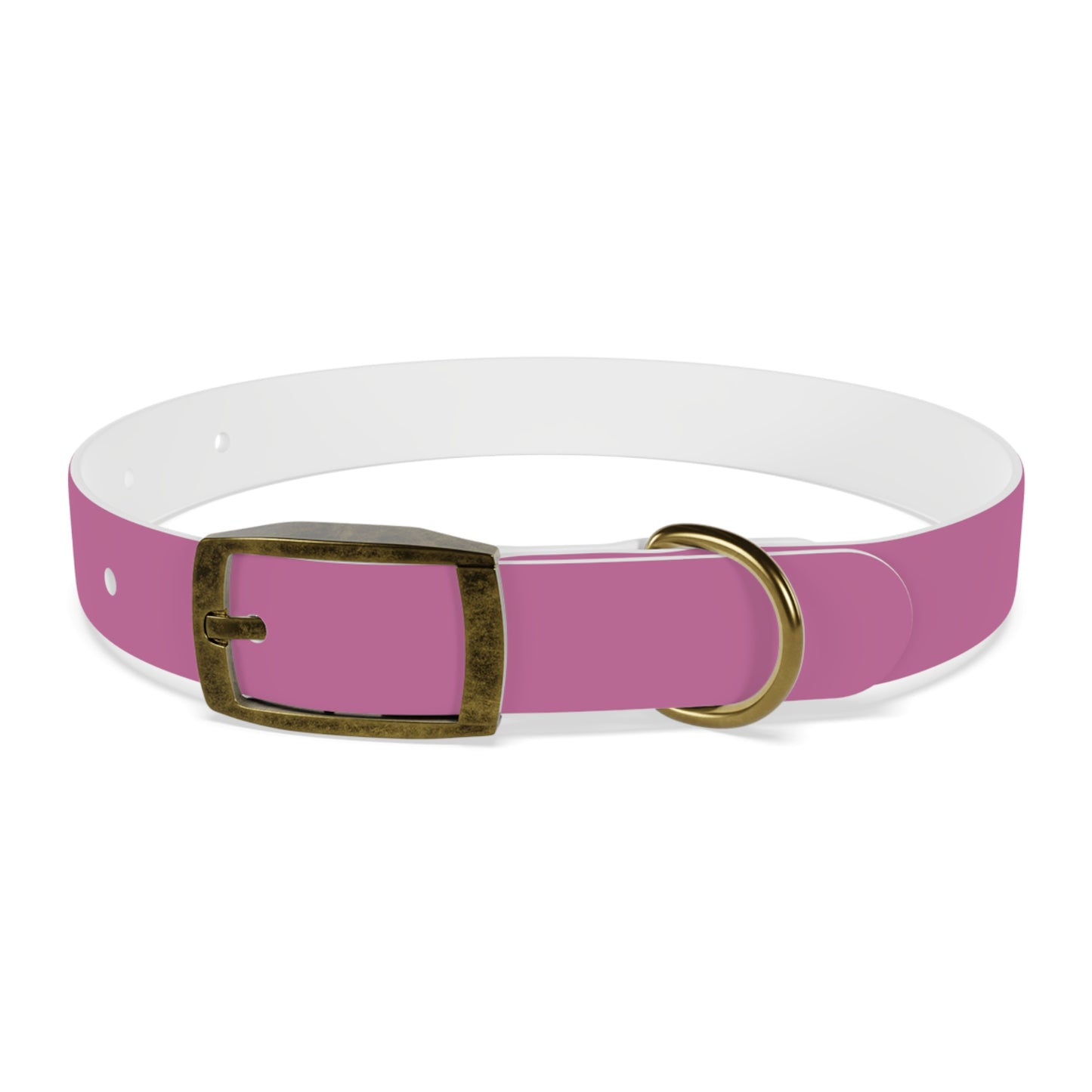 PAWTTARI Pet Collar