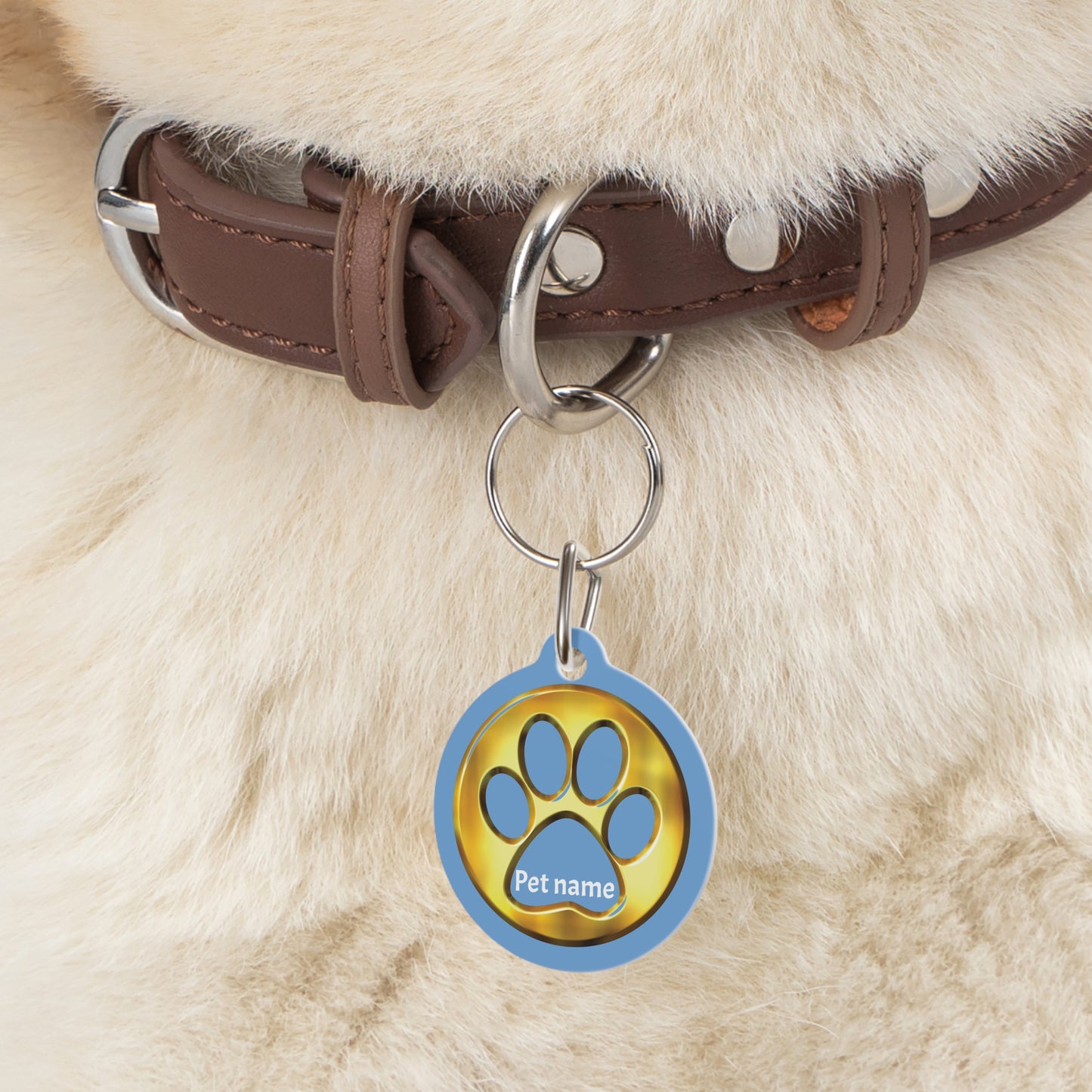 Customize  Pet Tag