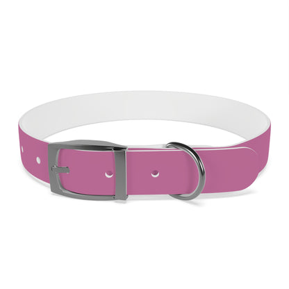 PAWTTARI Pet Collar