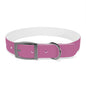 PAWTTARI Pet Collar