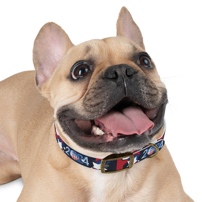 Elections 2024 Presidential Pet Collar