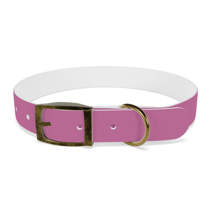 PAWTTARI Pet Collar