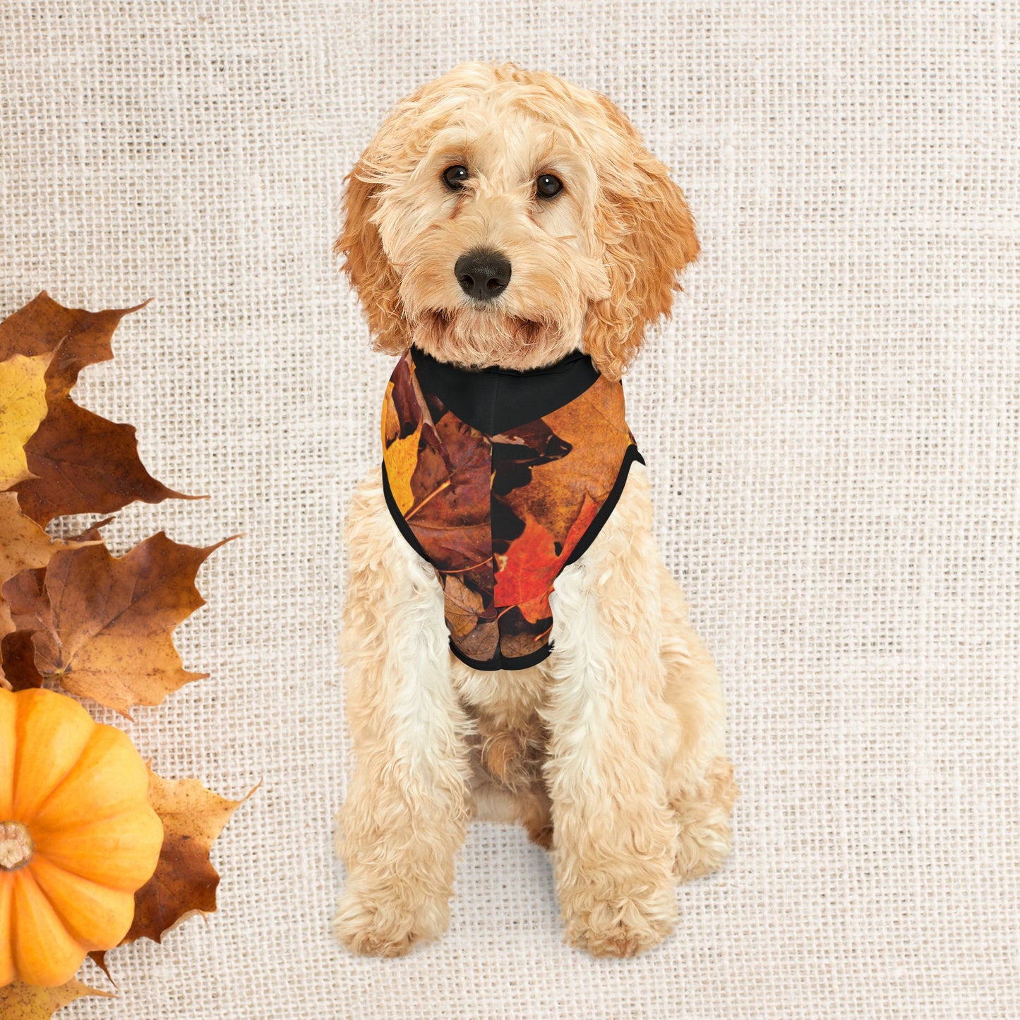 PAWTTARI Boutique Fall Custom Pet Hoodie