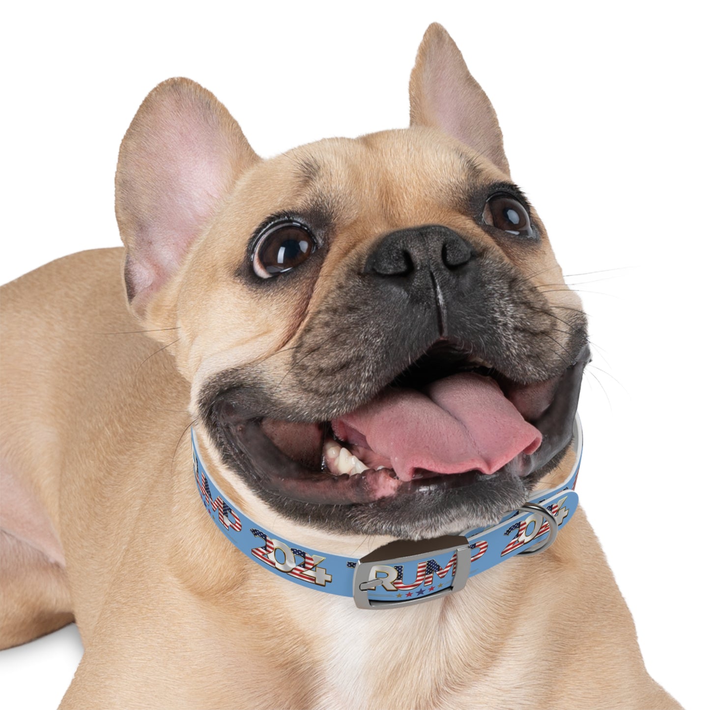 Trump 2024 Presidential Pet Collar