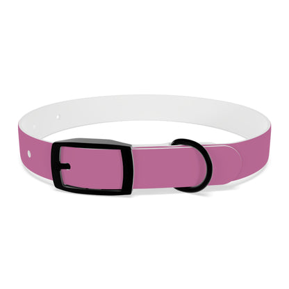 PAWTTARI Pet Collar