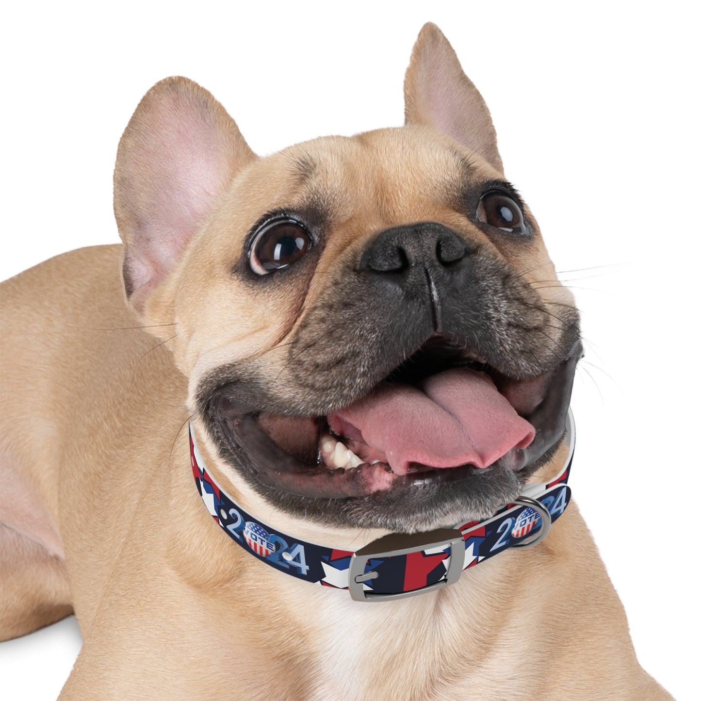 Elections 2024 Presidential Pet Collar