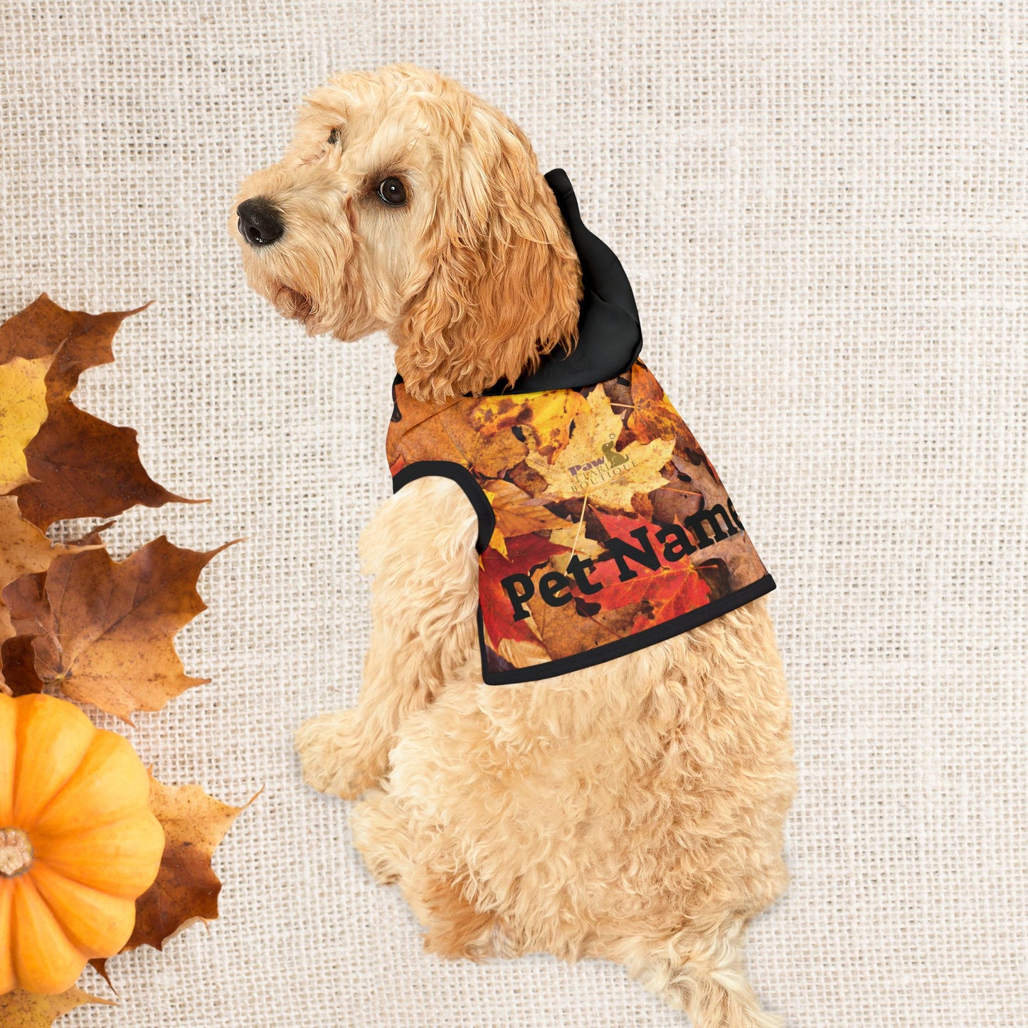 PAWTTARI Boutique Fall Custom Pet Hoodie